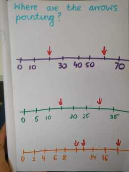 Identifying, representing and estimating numbers using different